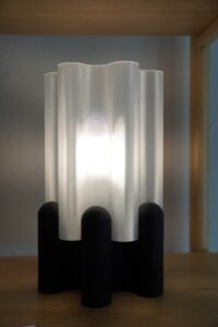 Denne lampe er designet med fokus på samspillet mellem form, lys og materiale. Den bølgende, semitransparente skærm spreder lyset blødt og jævnt, mens den mørke base skaber en markant kontrast og giver designet tyngde og stabilitet. Projektet er fuldt 3D-printet og udforsker, hvordan man kan kombinere æstetik og funktion i ét samlet udtryk. Den organiske form er skabt for at give lampen et levende og dynamisk udseende, som ændrer karakter afhængigt af lyset og omgivelserne. Lampen er et eksempel på, hvordan 3D-print ikke kun er et værktøj til prototyper, men også kan bruges til færdige designprodukter med høj visuel kvalitet og personlighed.