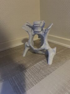 Min hund fik lavet en CT scanning. Da jeg ved man kan få 3D model at kigge på undersøgte jeg mine egen muligheder for at lave det om til 3D print. Så jeg hentede et gratis software der kunne lave modellen om til et mesh. Derefter gik jeg ind og færdig bearbejdede det så det kunne 3D printes. Dette var meget lærerigt da det gav mig mulighed for at forstå hans brud og heling meget bedre. Her er resultatet.